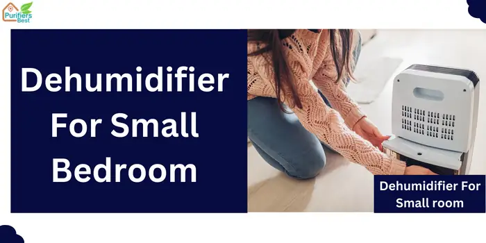 Dehumidifier For Small Bedroom