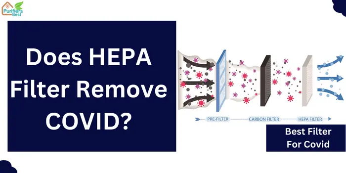 HEPA Filter Remove COVID